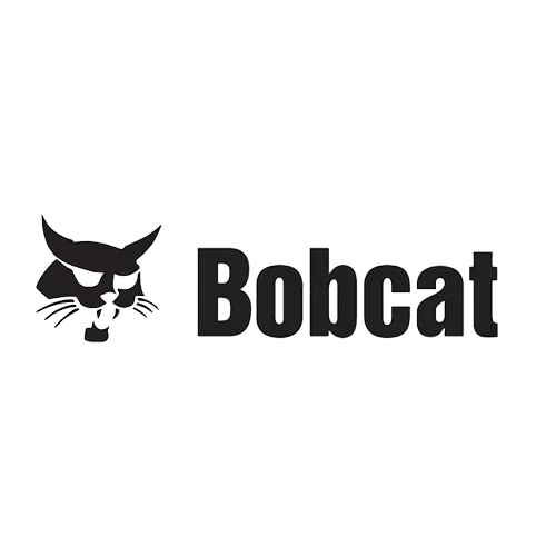Bobcat